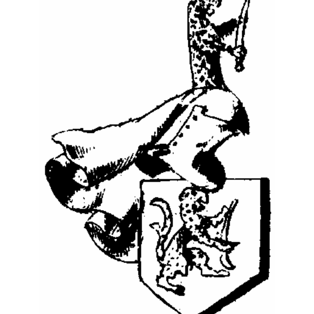 Coat of arms of family Plessis