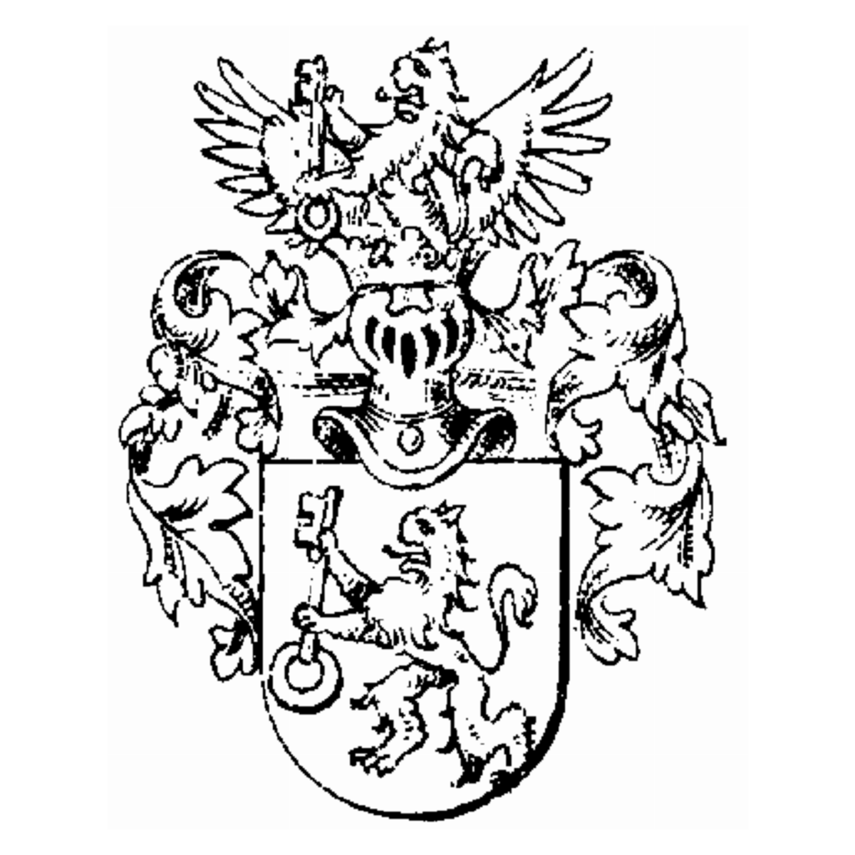 Coat of arms of family Trüllikofer