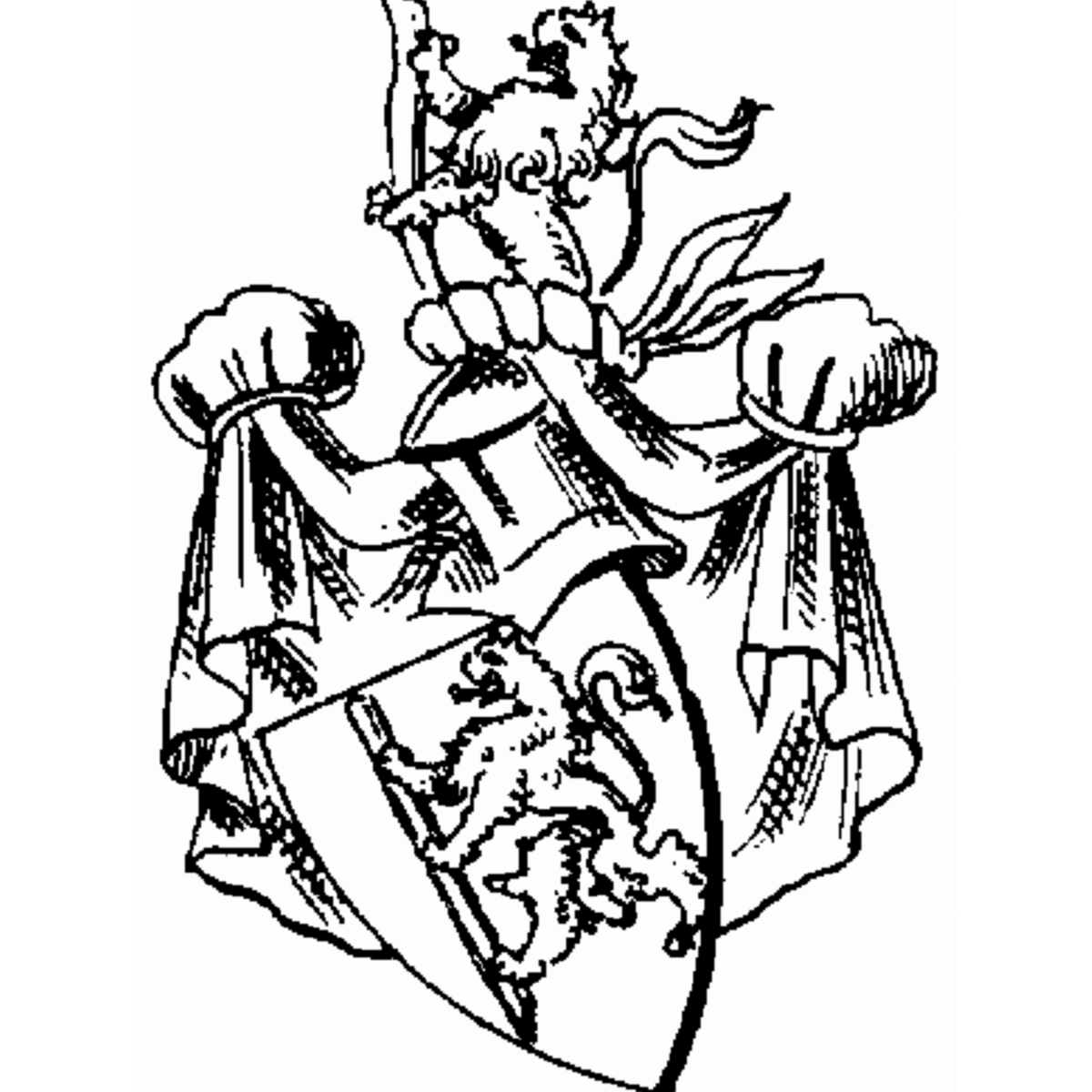 Coat of arms of family Oßenbrugge