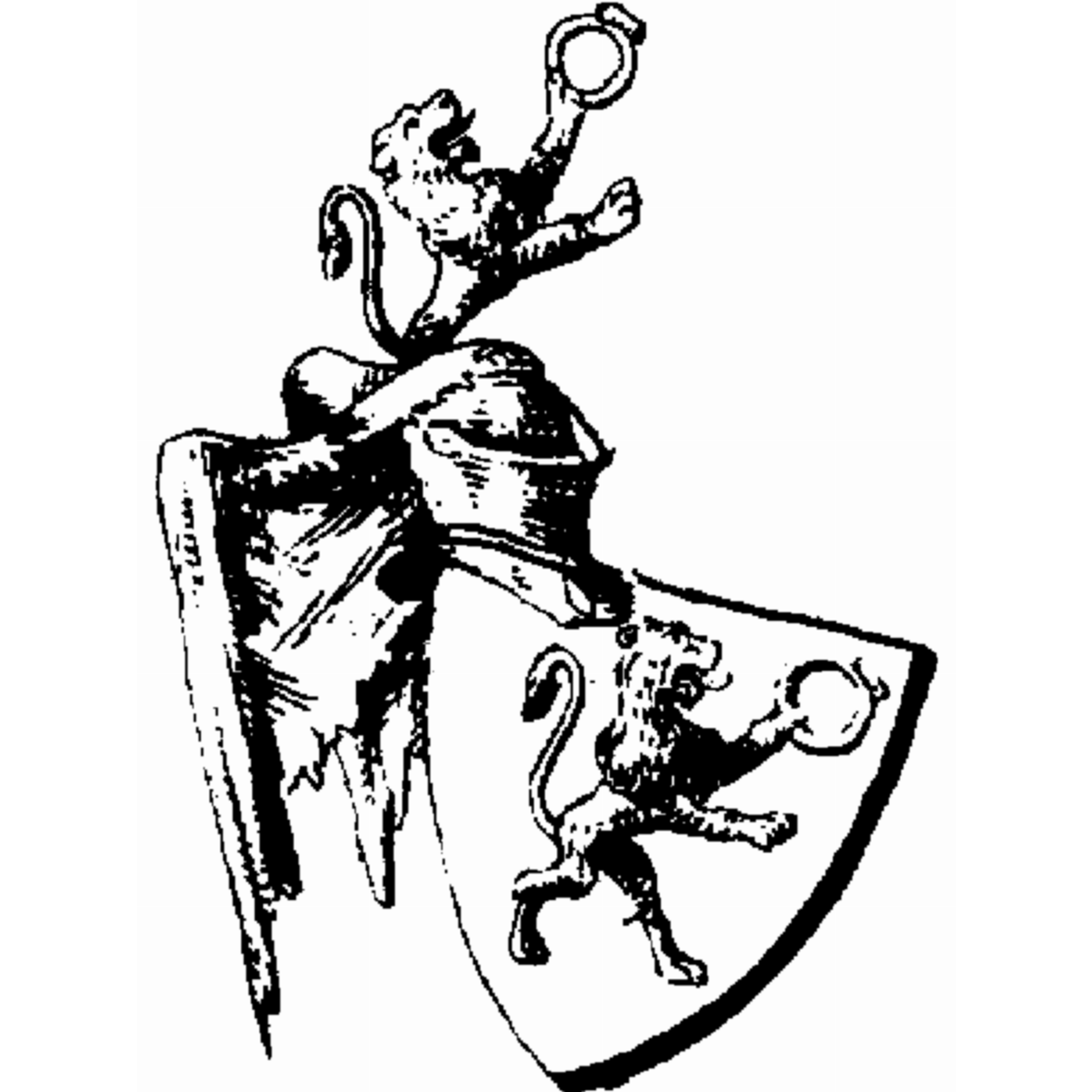 Coat of arms of family Bertzner
