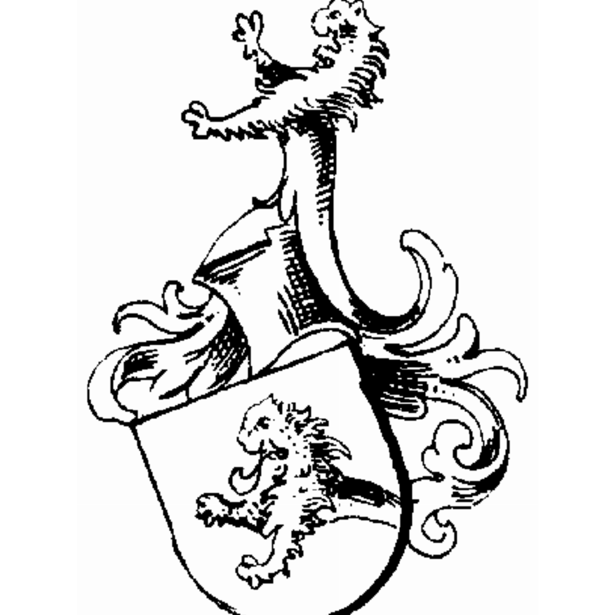 Coat of arms of family Rotkontz