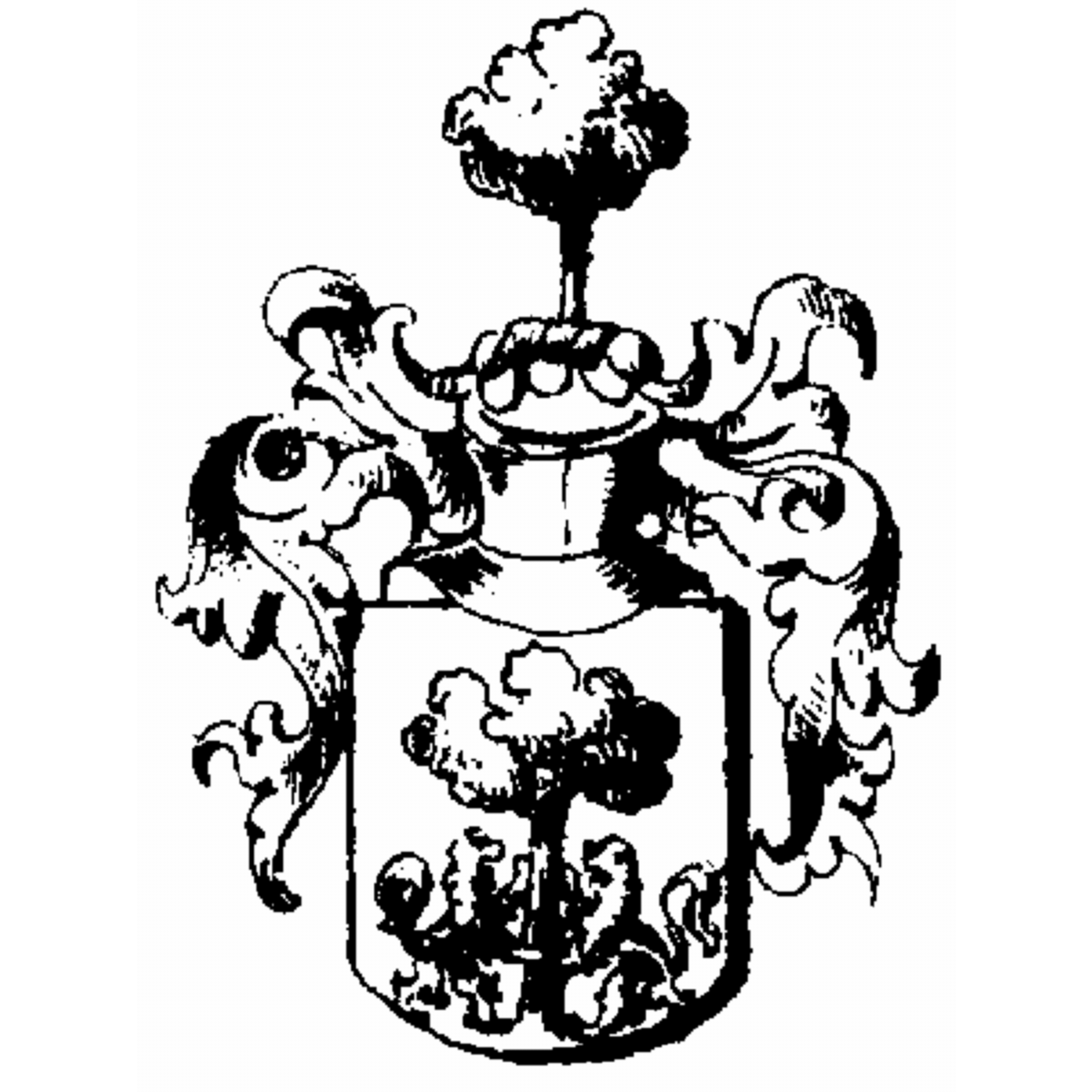 Coat of arms of family Zänkl