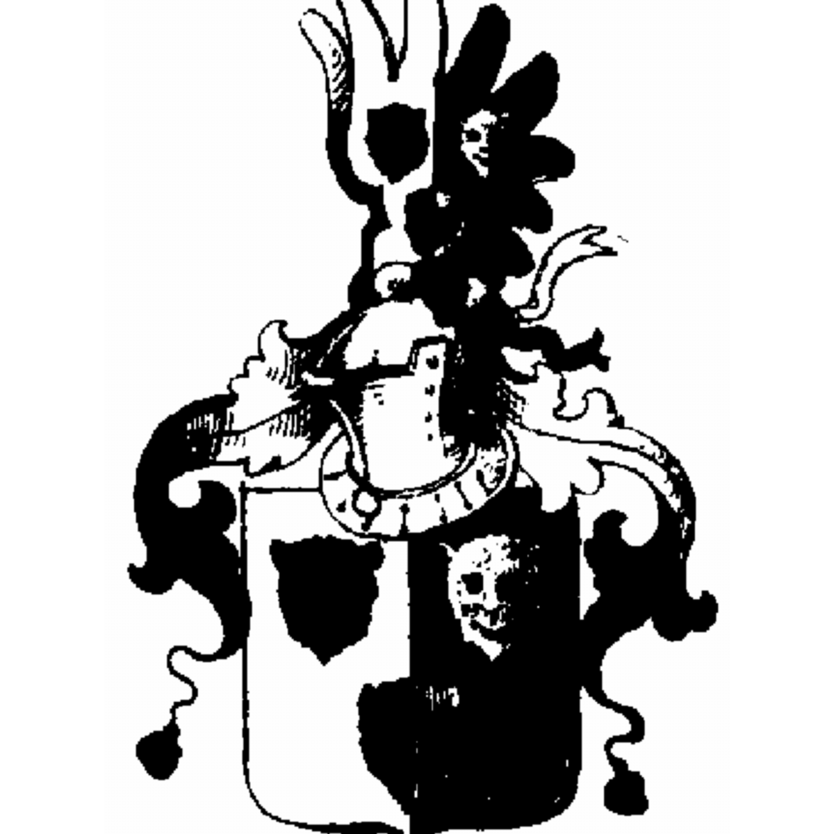Coat of arms of family Schmorr
