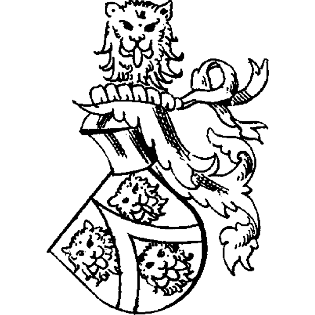 Coat of arms of family Kok
