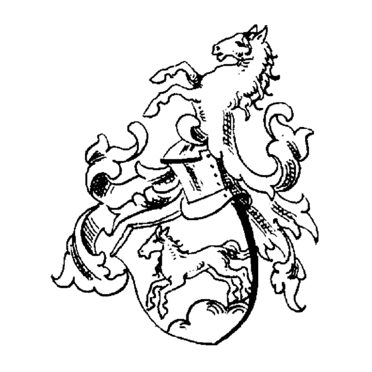 Coat of arms of family Ortelius
