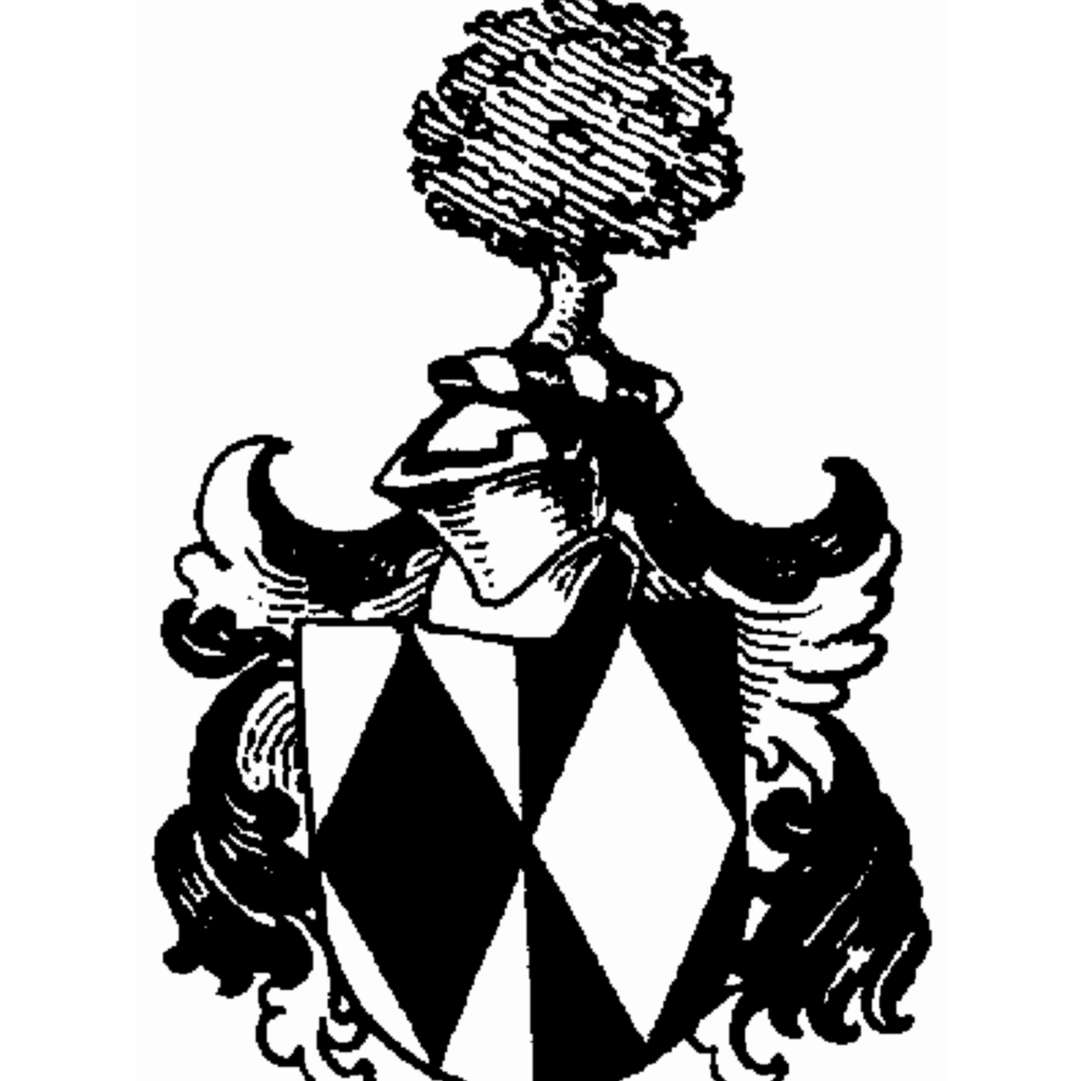Escudo de la familia Rövekamp