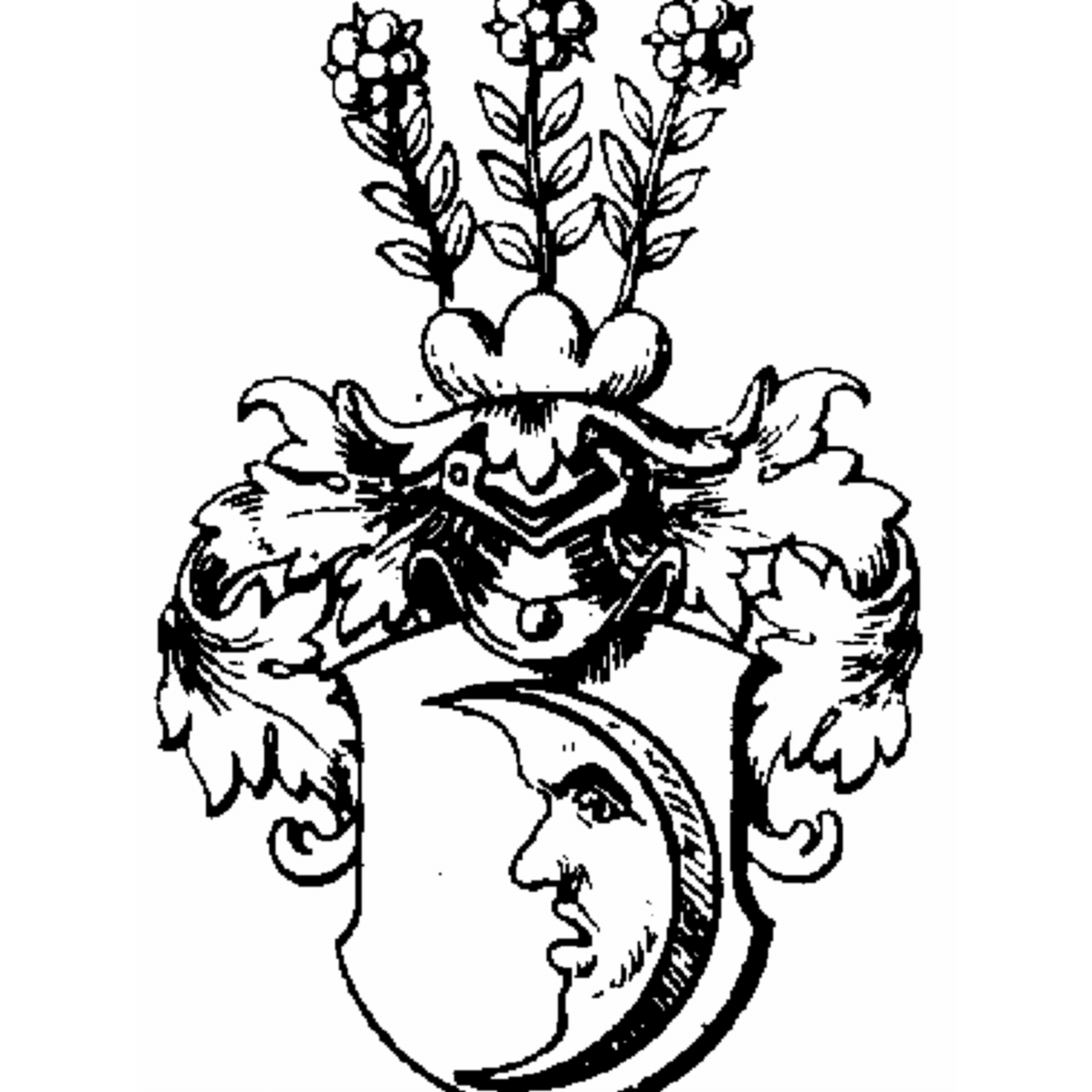 Coat of arms of family Bambe
