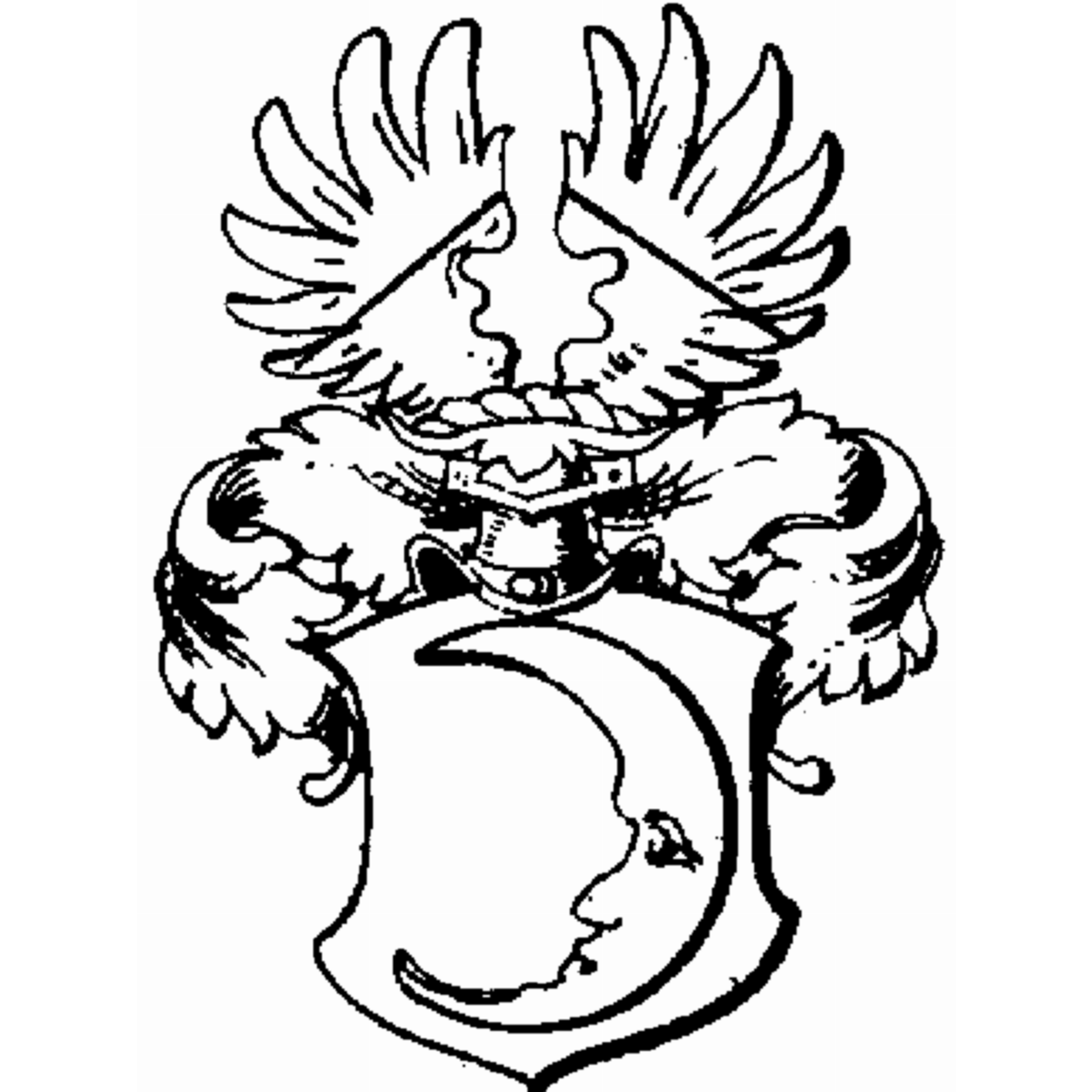 Escudo de la familia Niewald