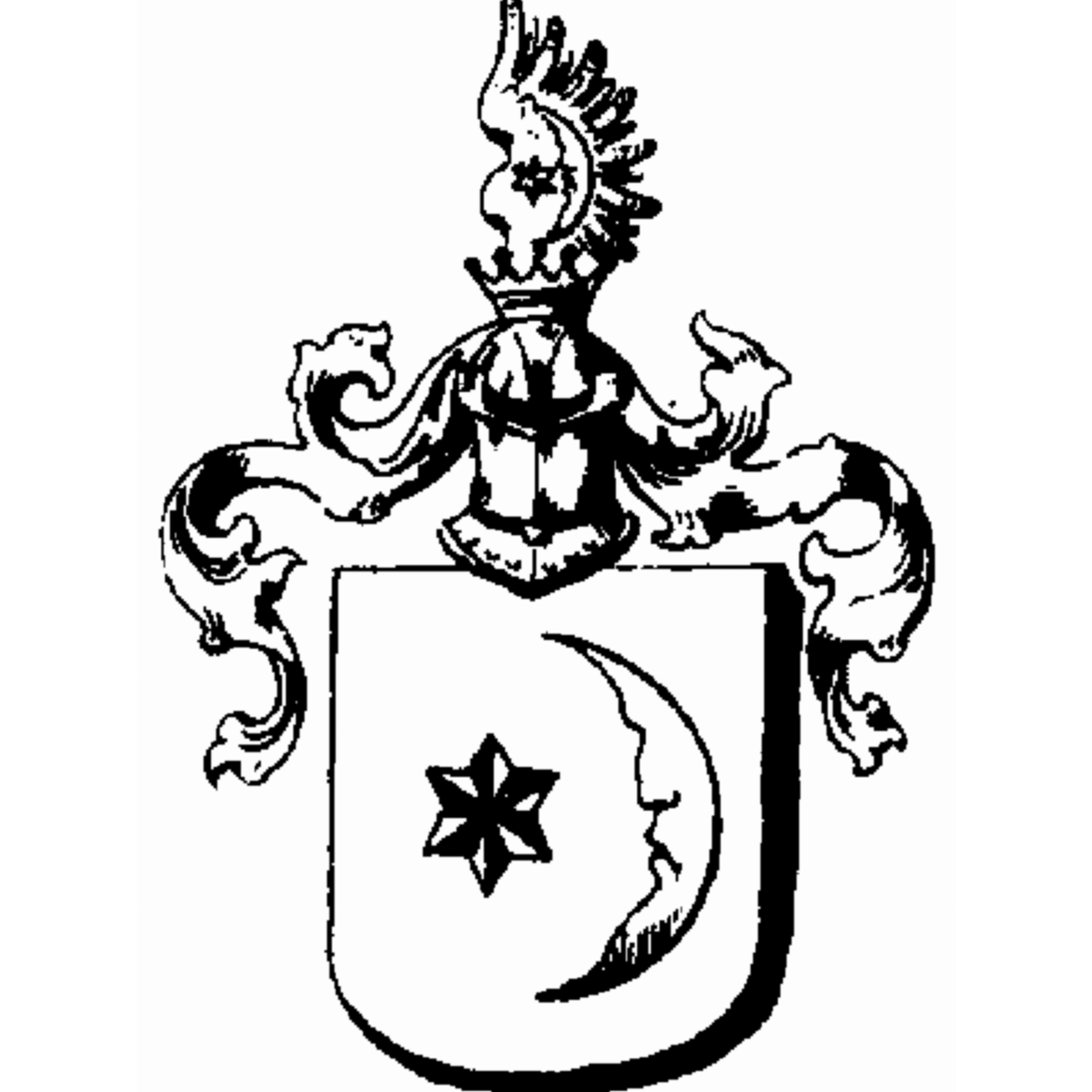 Escudo de la familia Borucki