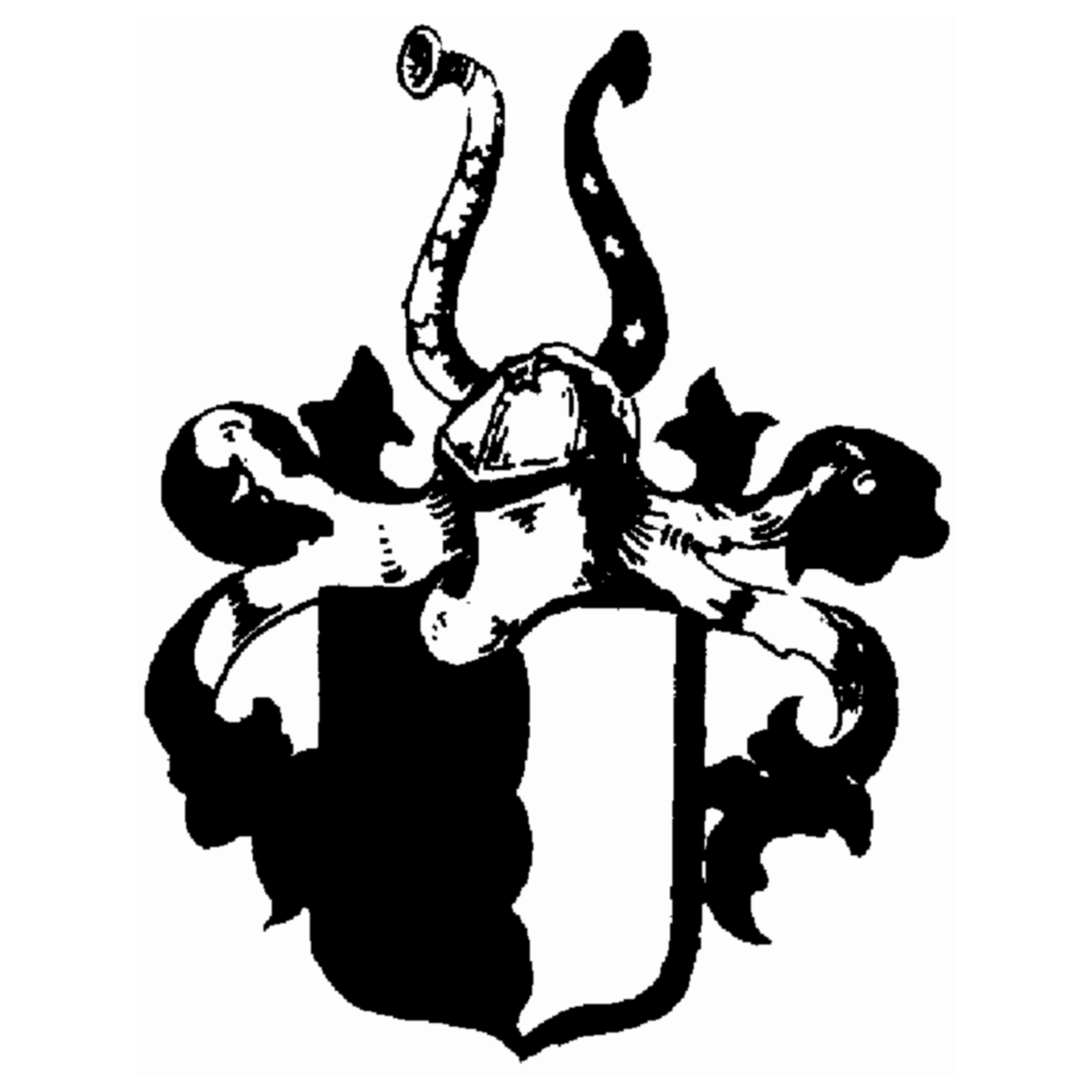 Coat of arms of family