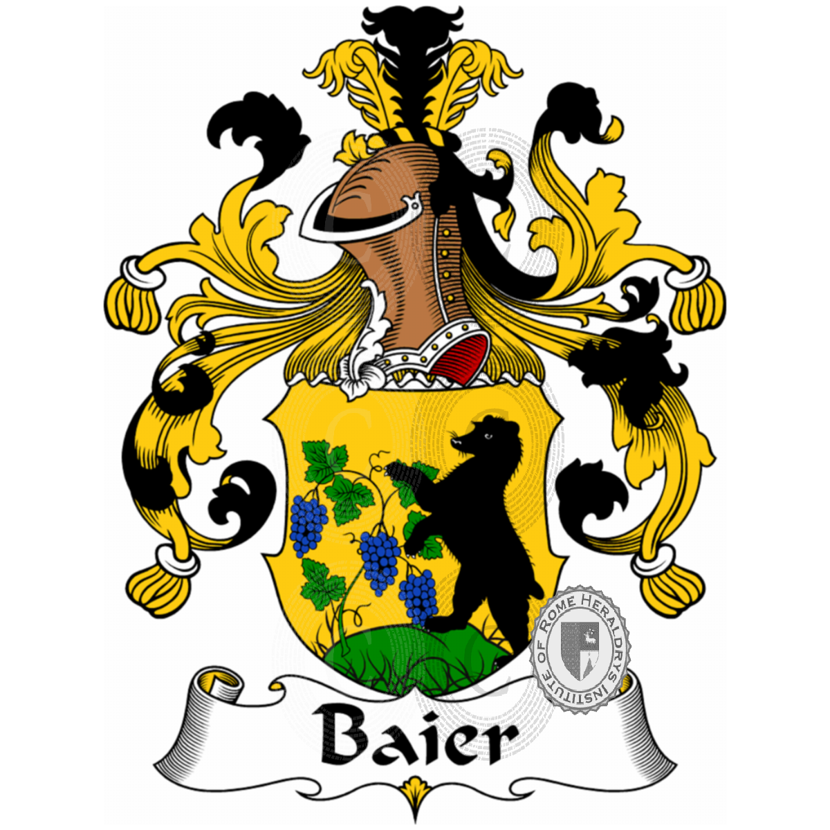 Coat of arms of familyBaier
