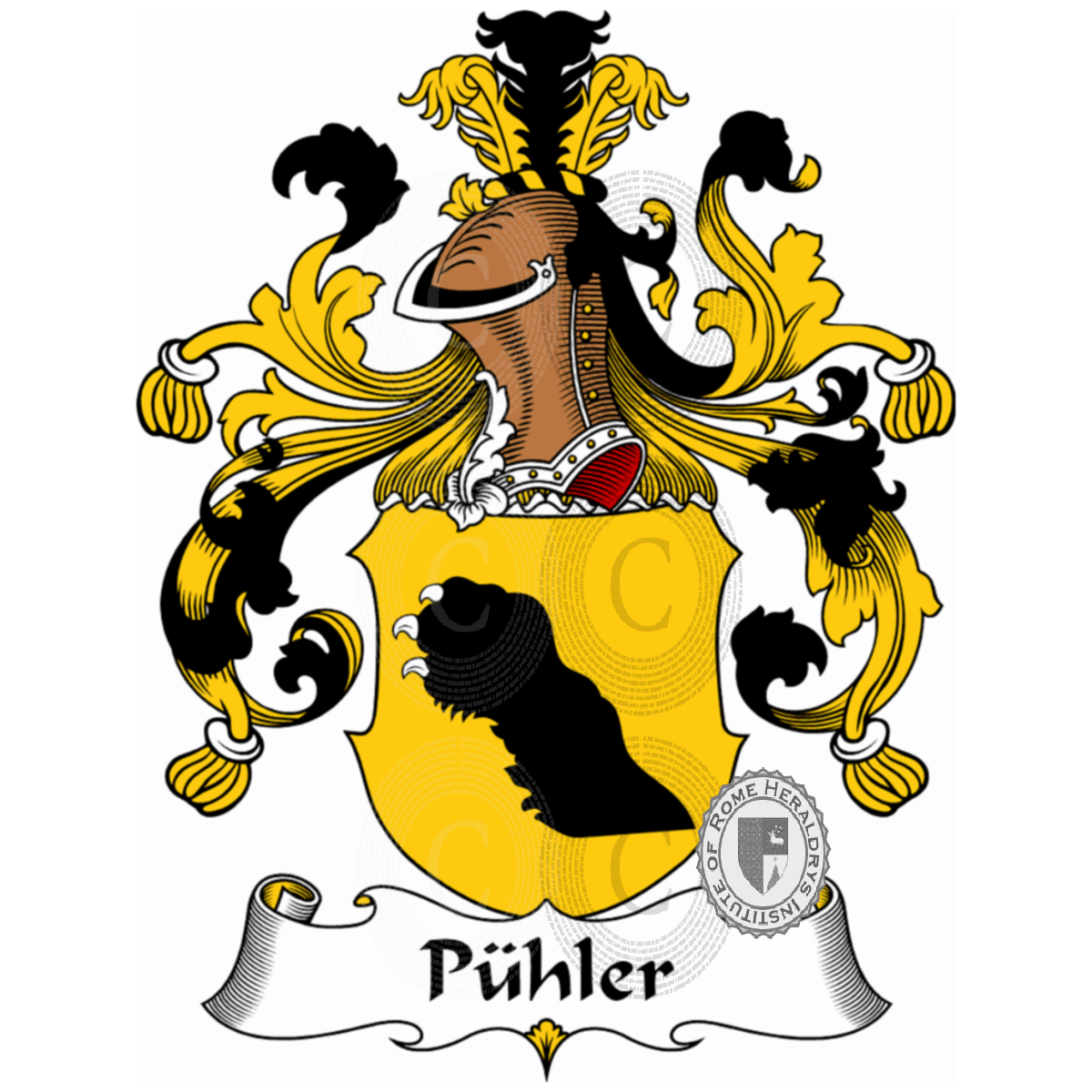Coat of arms of familyPühler