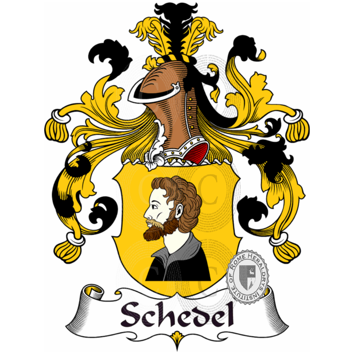 Coat of arms of familySchedel