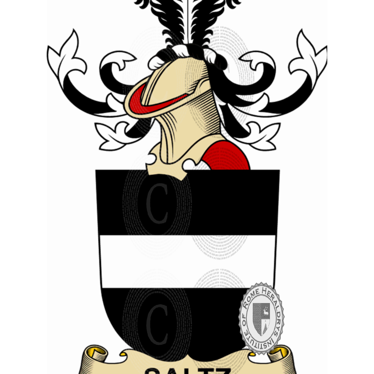 Coat of arms of familySaltz