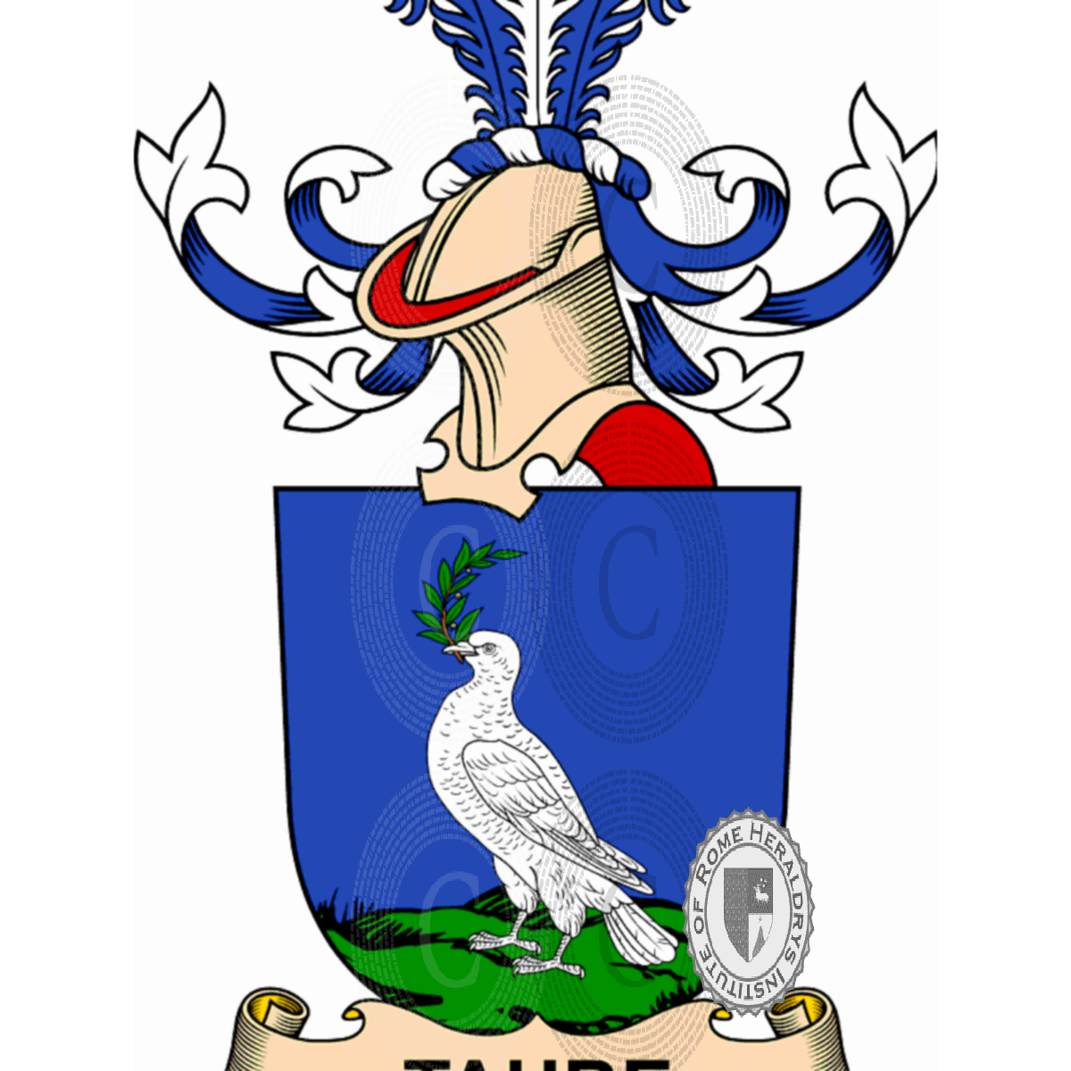 Coat of arms of familyTaube