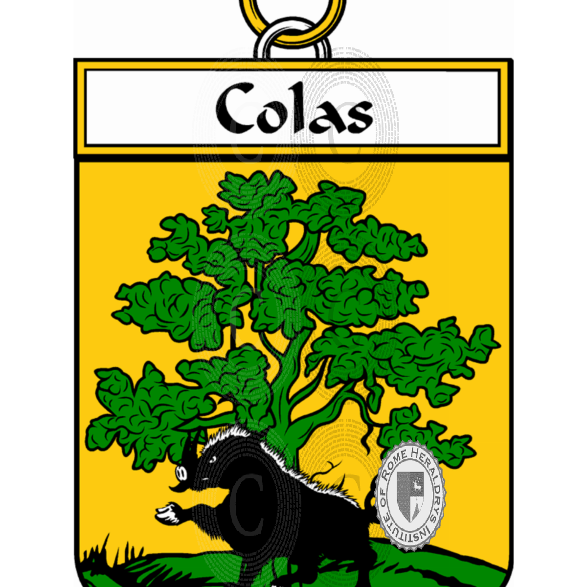 Coat of arms of familyColas