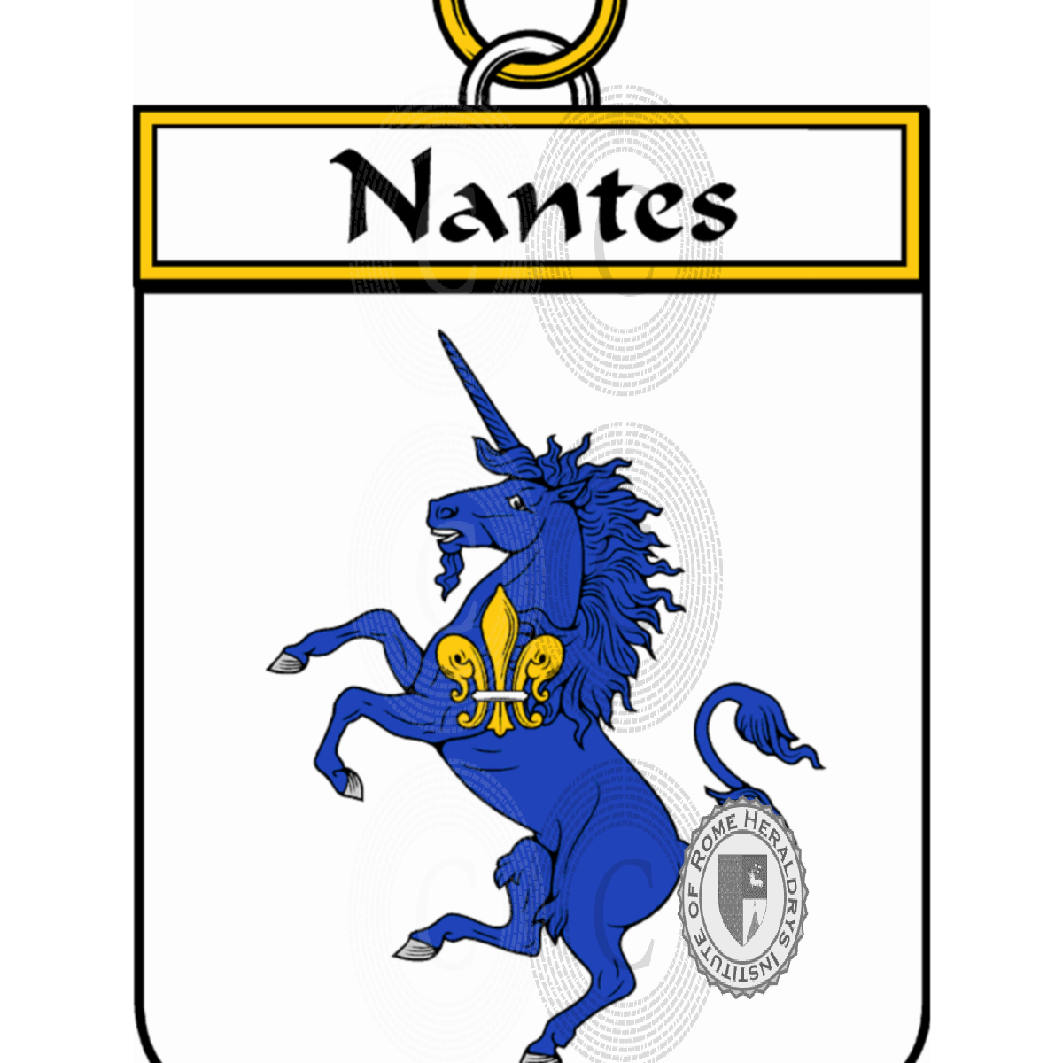 Coat of arms of familyNantes