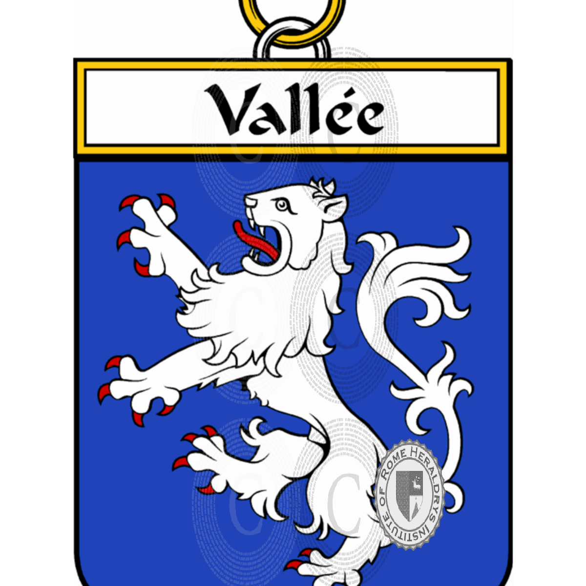 Coat of arms of familyVallée