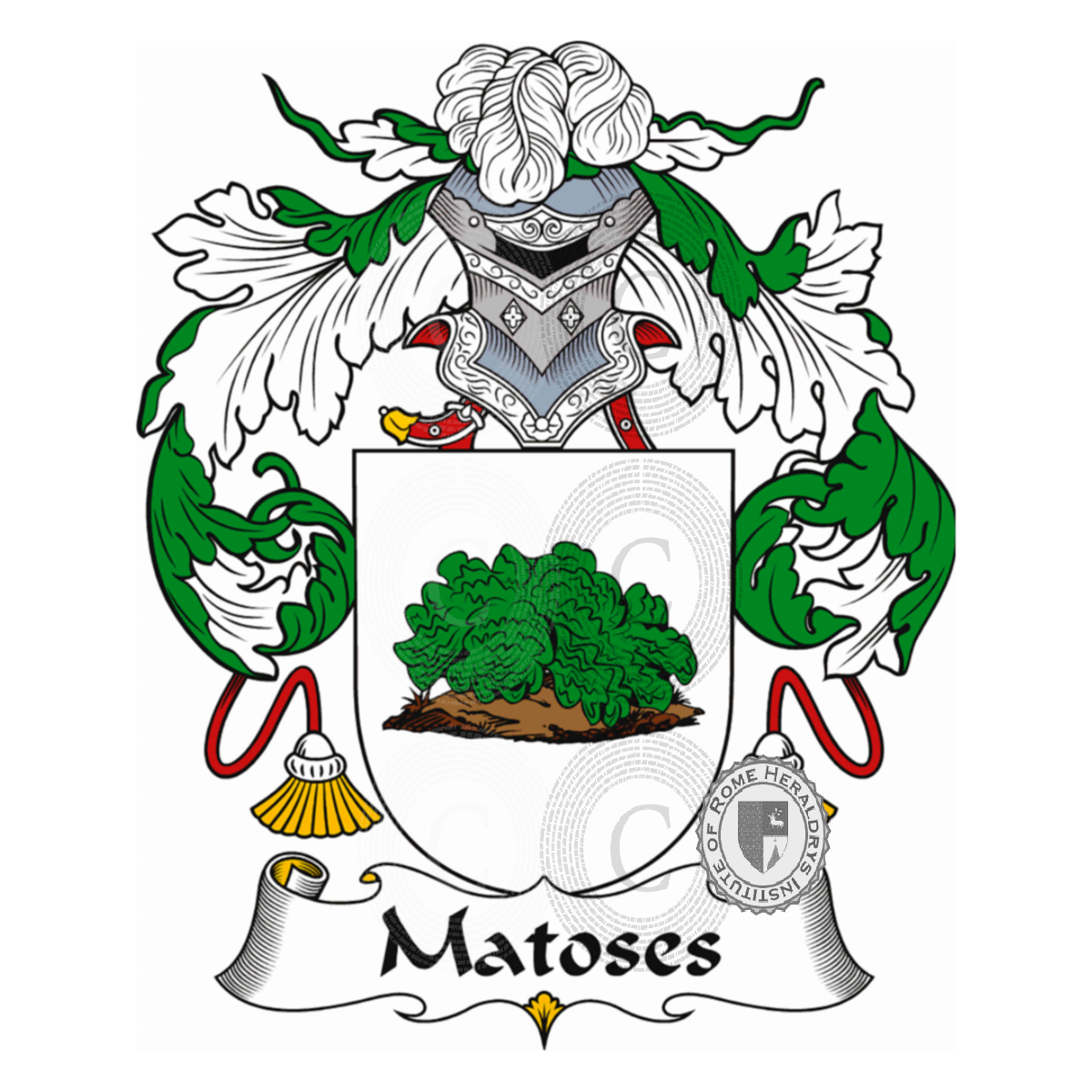 Coat of arms of familyMatoses