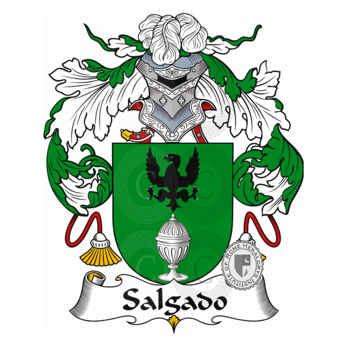 Wappen der FamilieSalgado