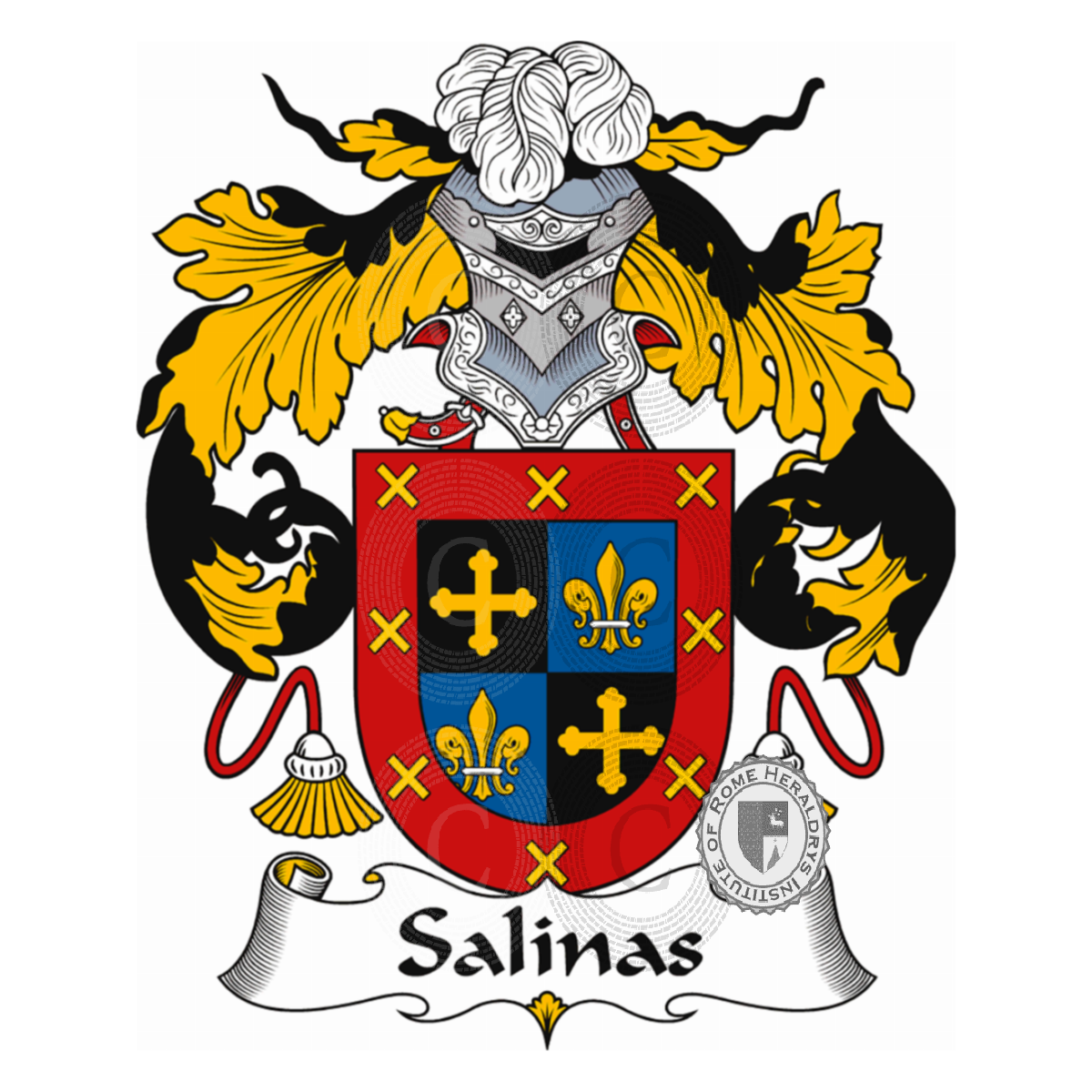Wappen der FamilieSalinas