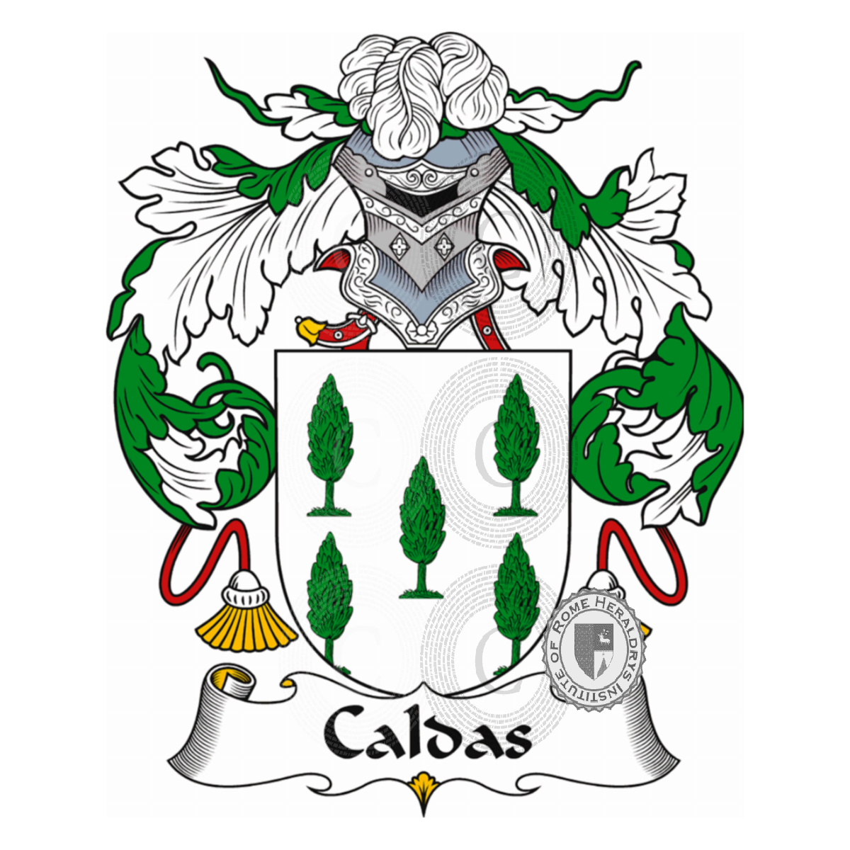 Coat of arms of familyCaldas