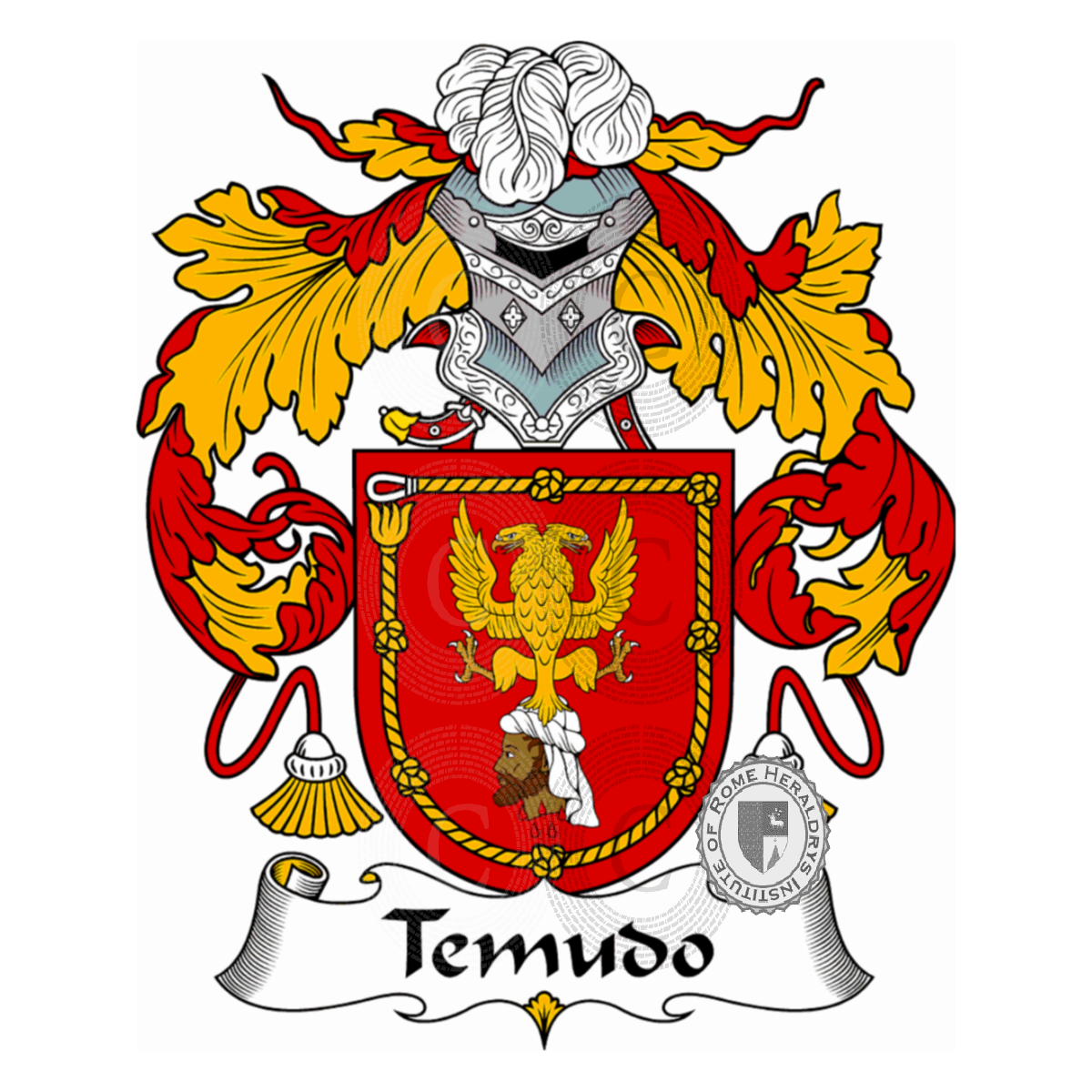 Coat of arms of familyTemudo