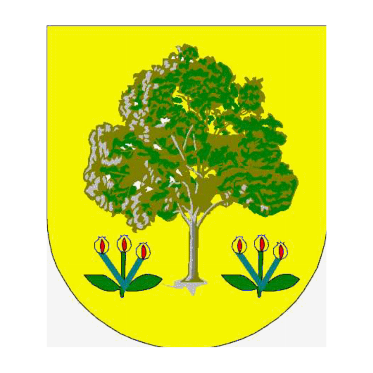 Wappen der FamilieOlcina