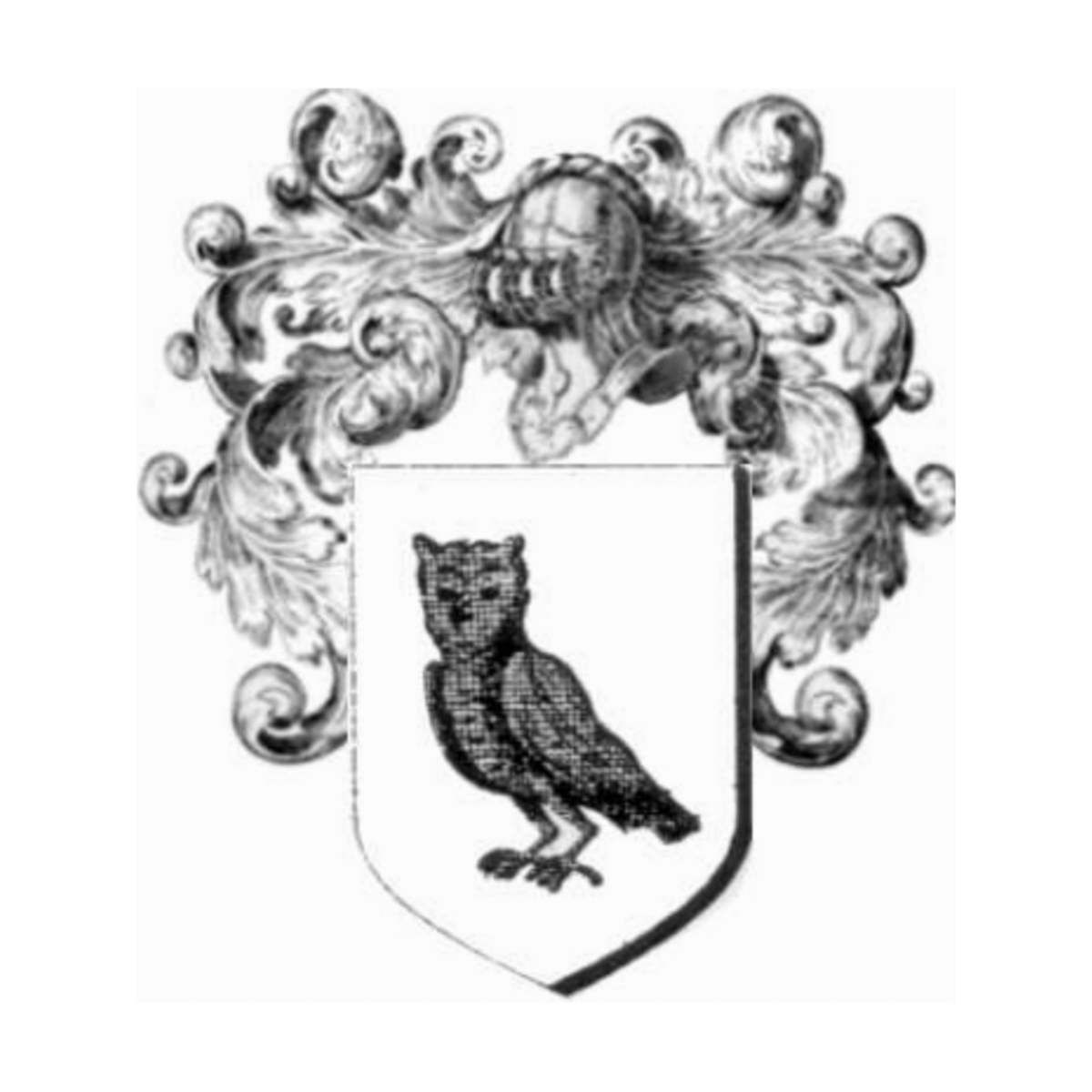 Coat of arms of familyChouan