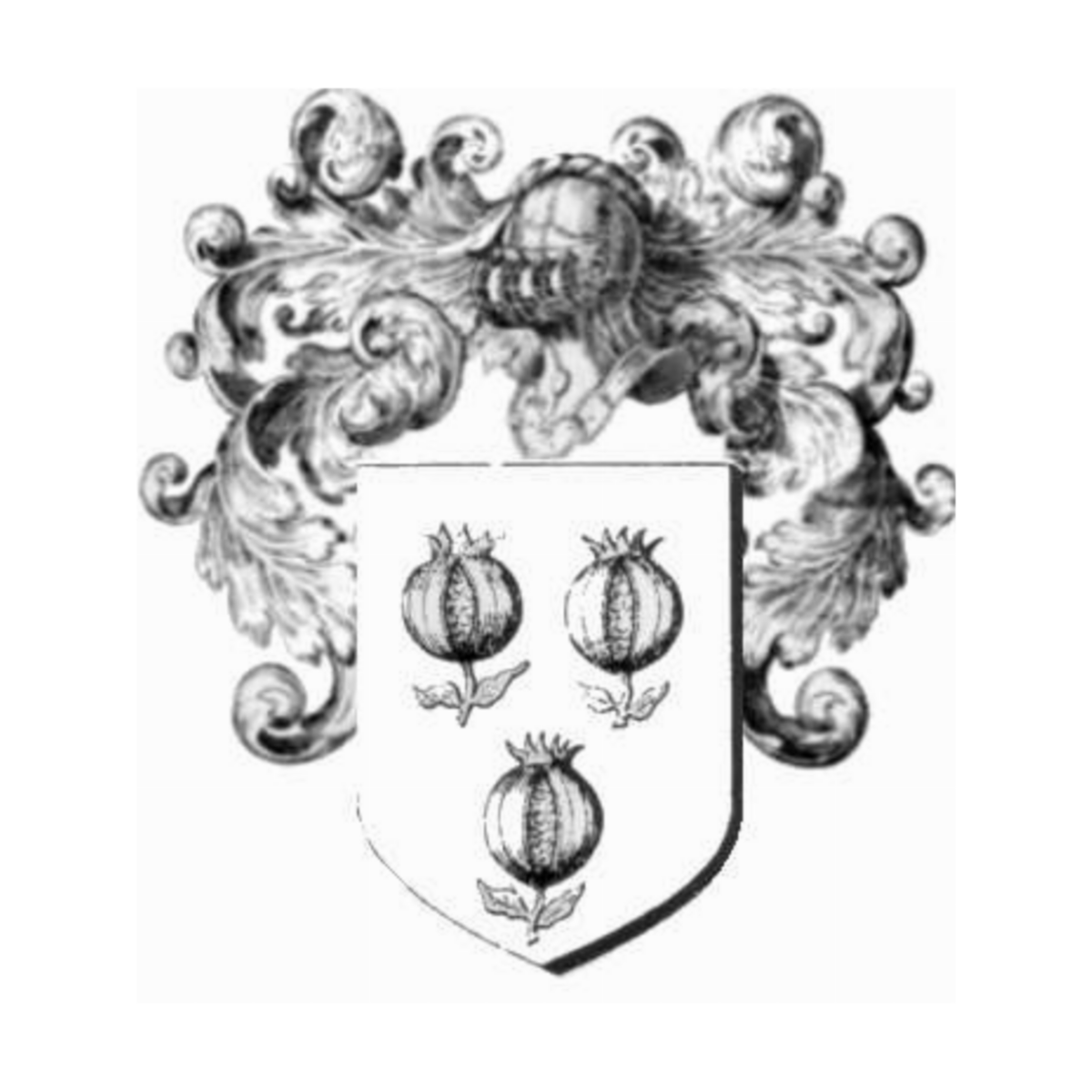 Wappen der FamilieGranier