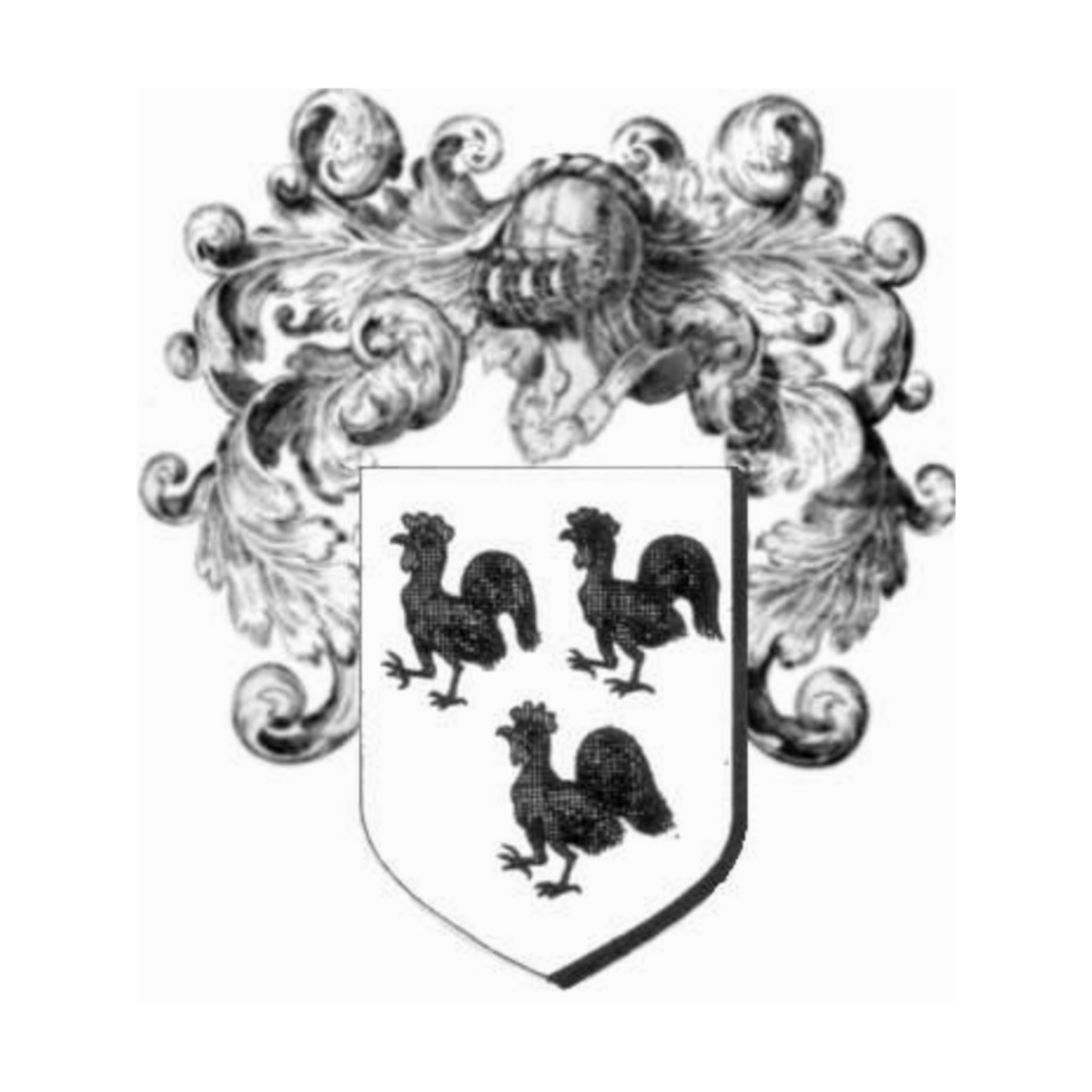 Coat of arms of familyTirecoq