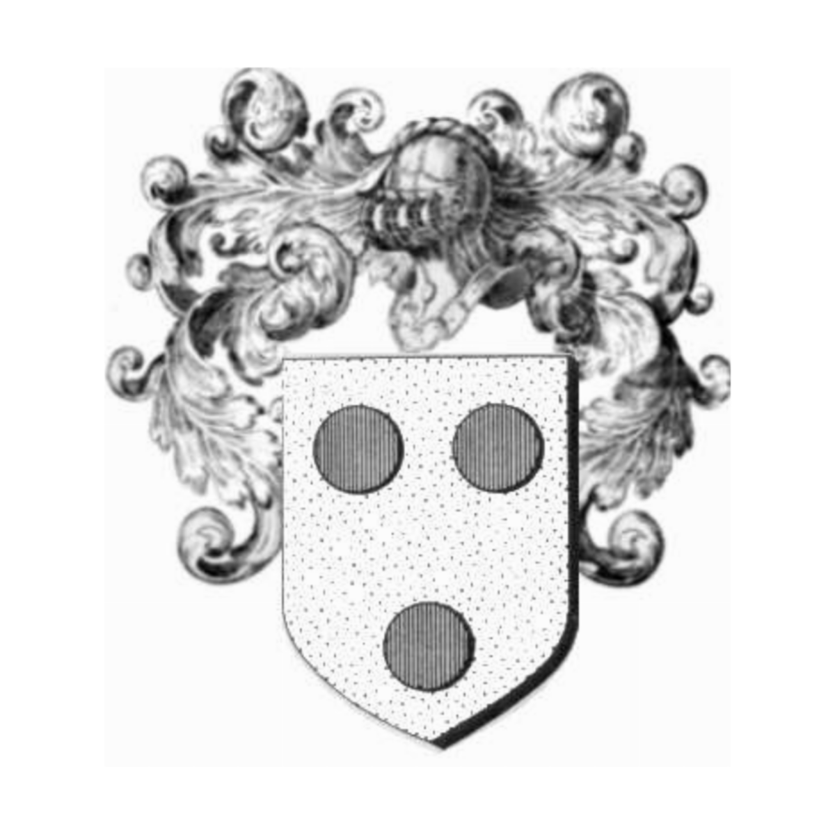 Coat of arms of familyTouche