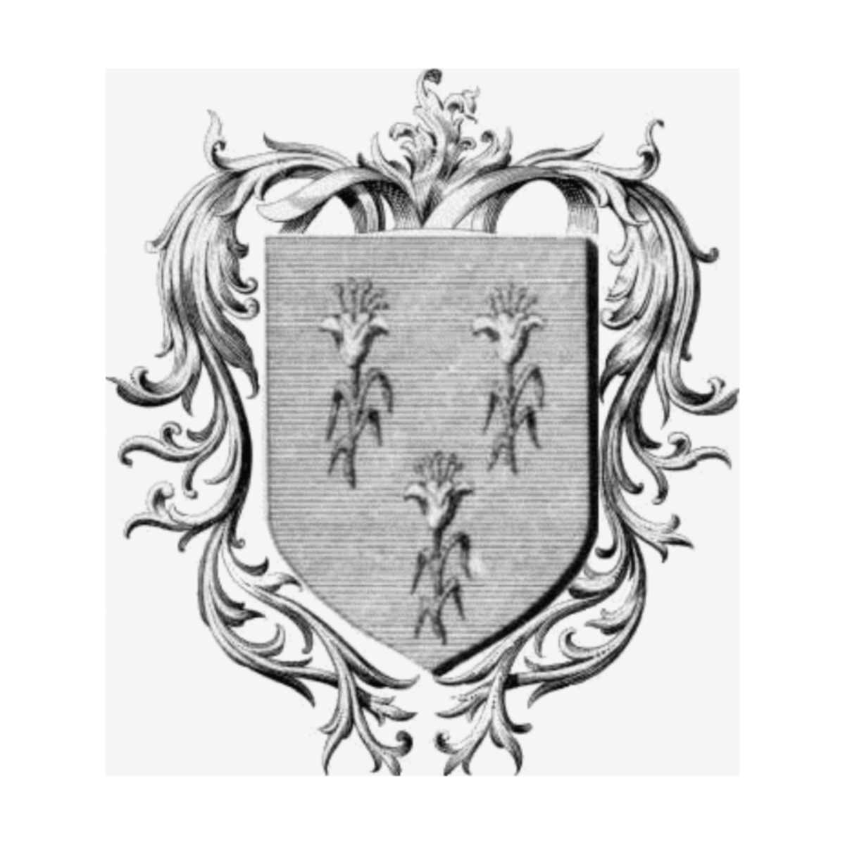 Coat of arms of familyAnjorrant
