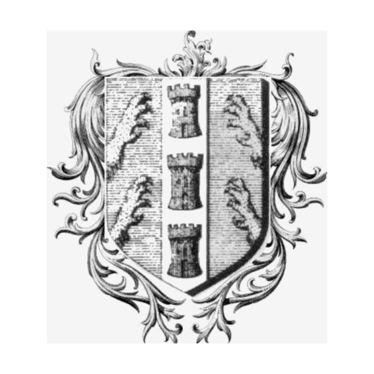 Coat of arms of familyBrancas