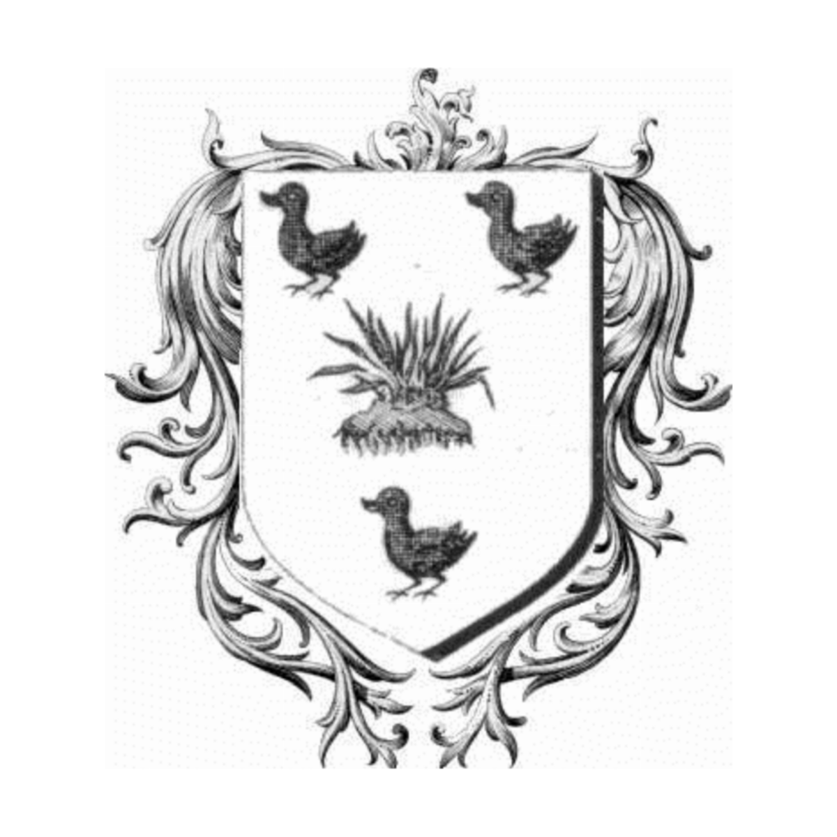 Coat of arms of familyBrindejonc
