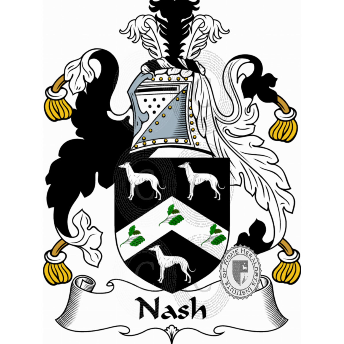 Coat of arms of familyNash