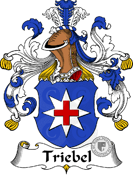 Escudo de la familia Triebel