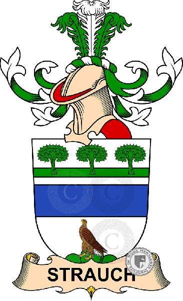 Wappen der Familie Strauch