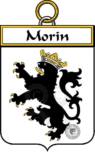 Coat of arms of family Morin