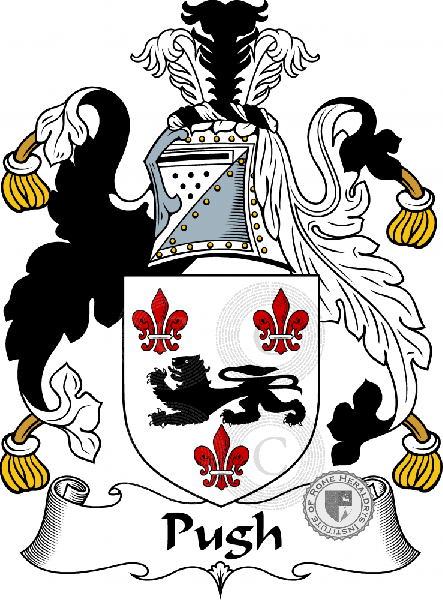 Coat of arms of family Pugh