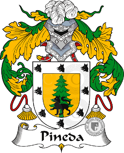 Coat of arms of family Pineda