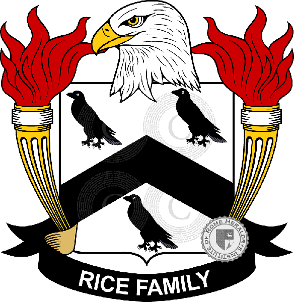 Brasão da família Rice