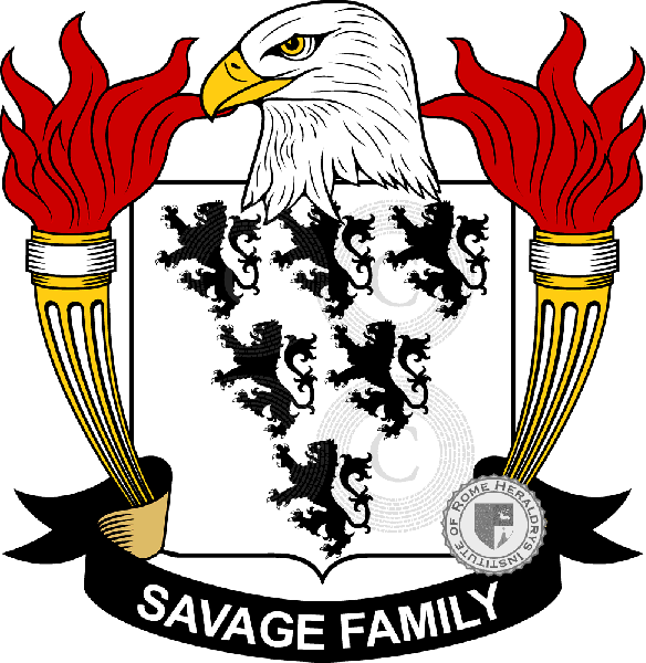 Brasão da família Savage