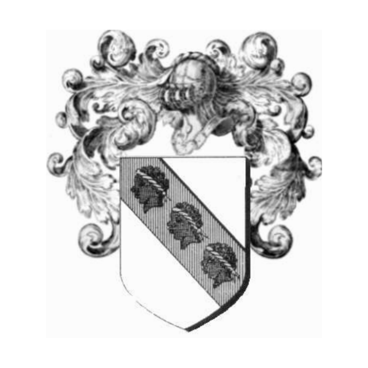 Coat of arms of family Trevegat