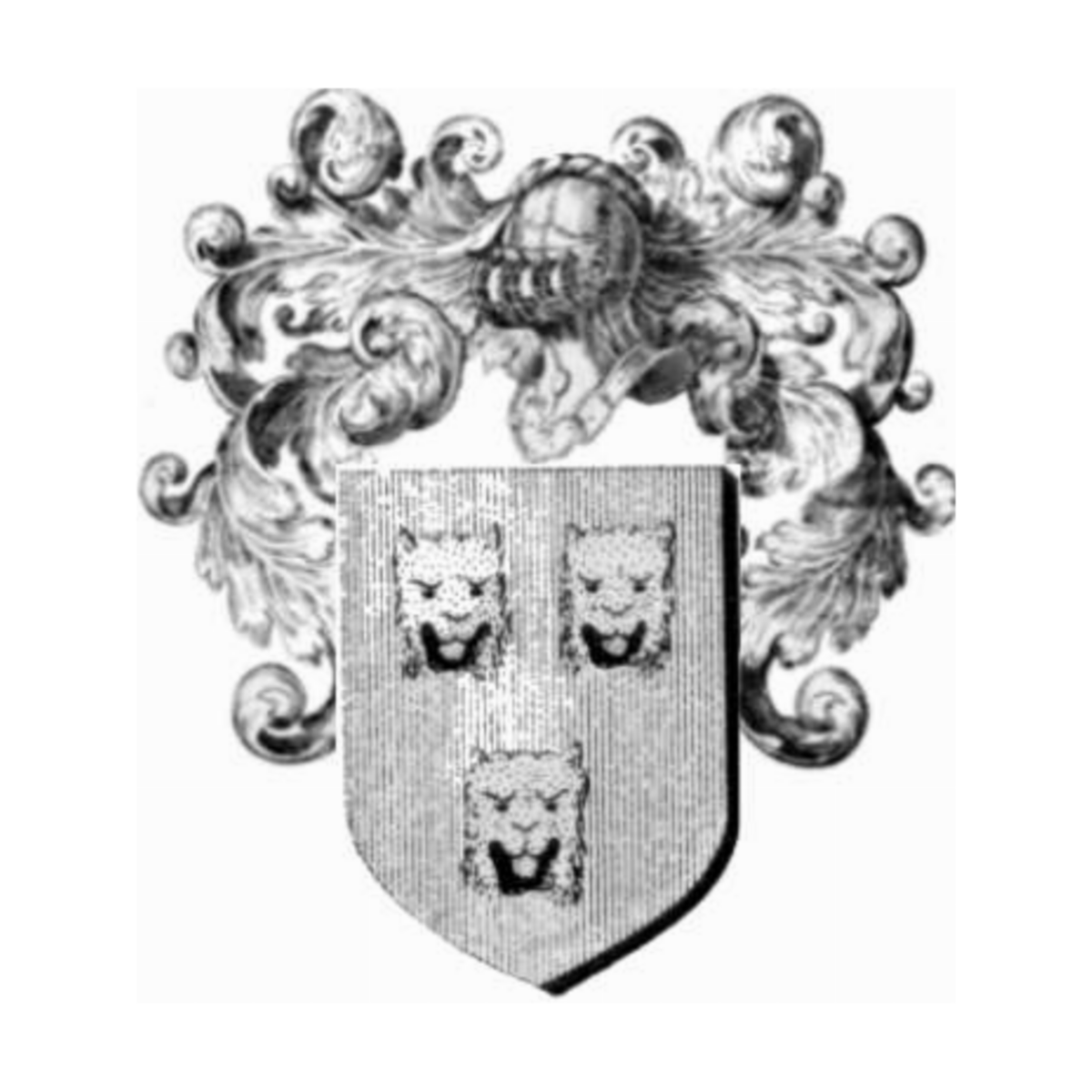 Escudo de la familia Du Bois De La Motte