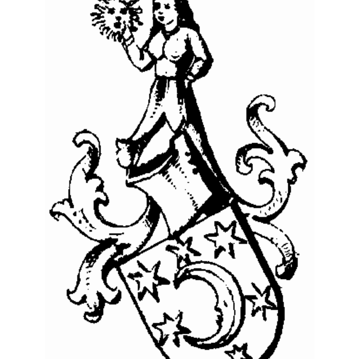 Coat of arms of family Paindtkopfer
