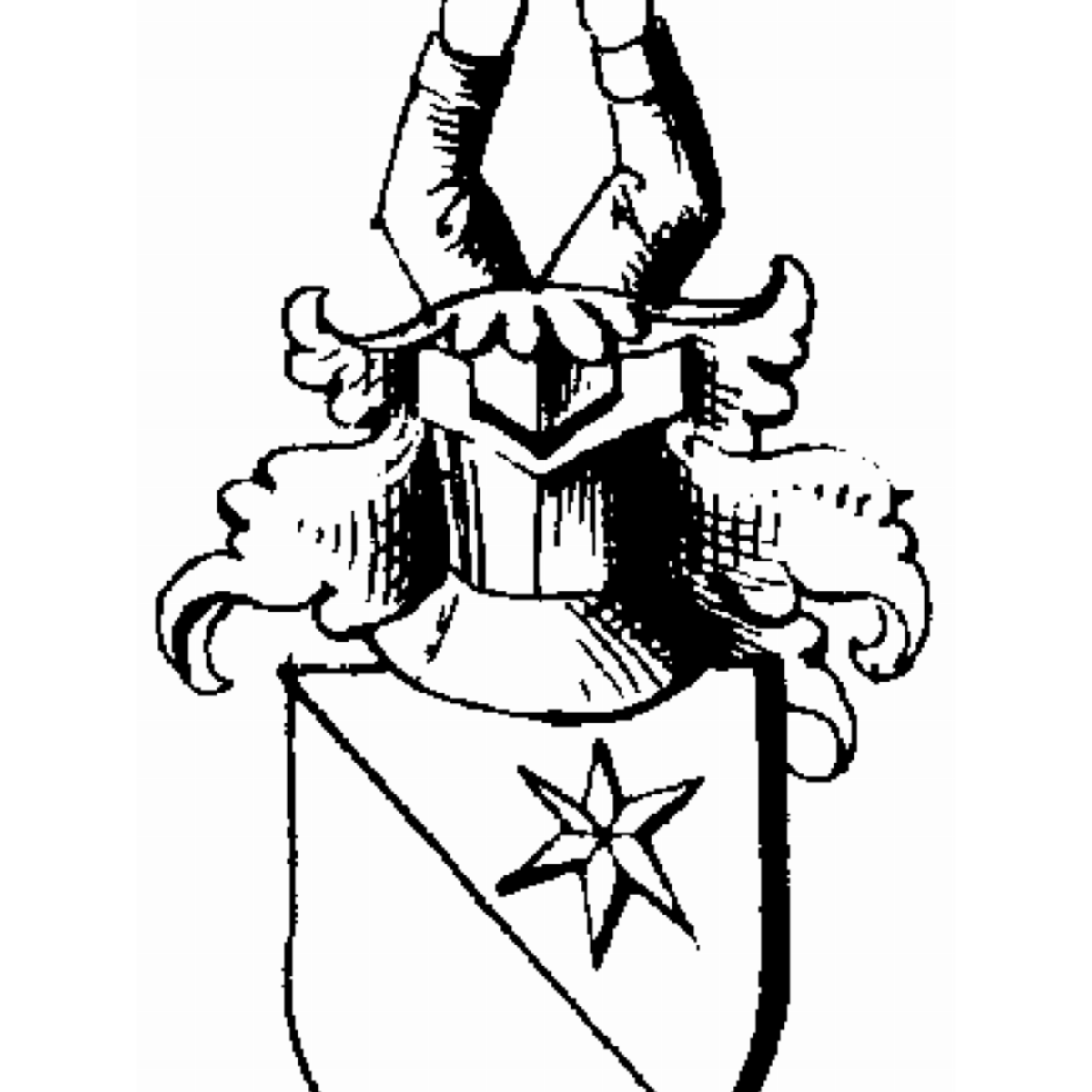 Coat of arms of family Selmeker
