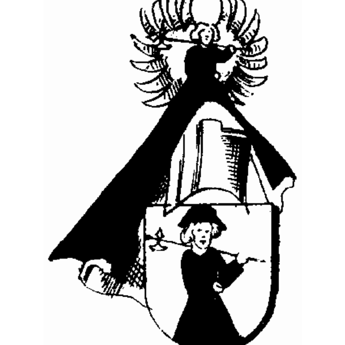 Coat of arms of family Donstein