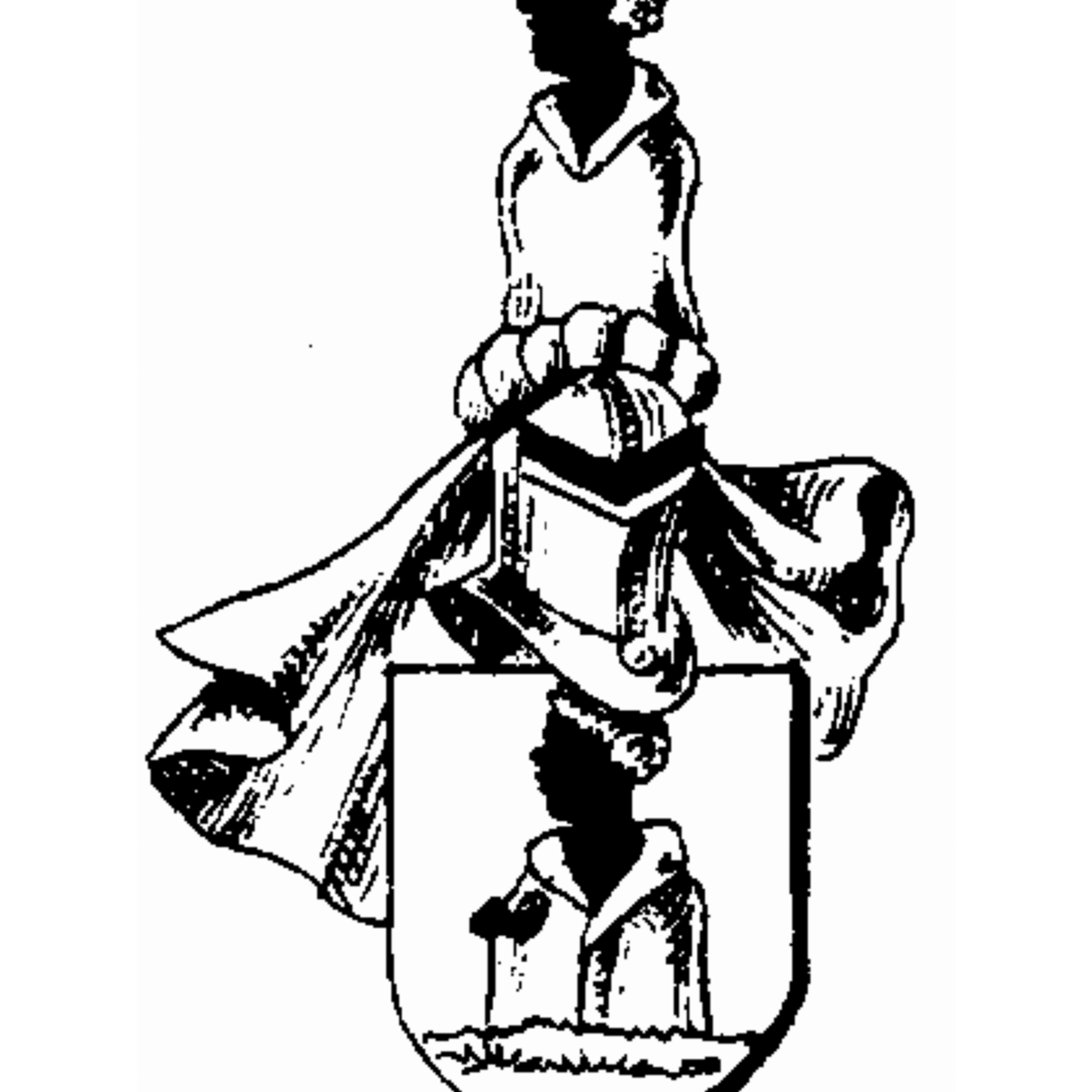 Coat of arms of family Vam Kroghe