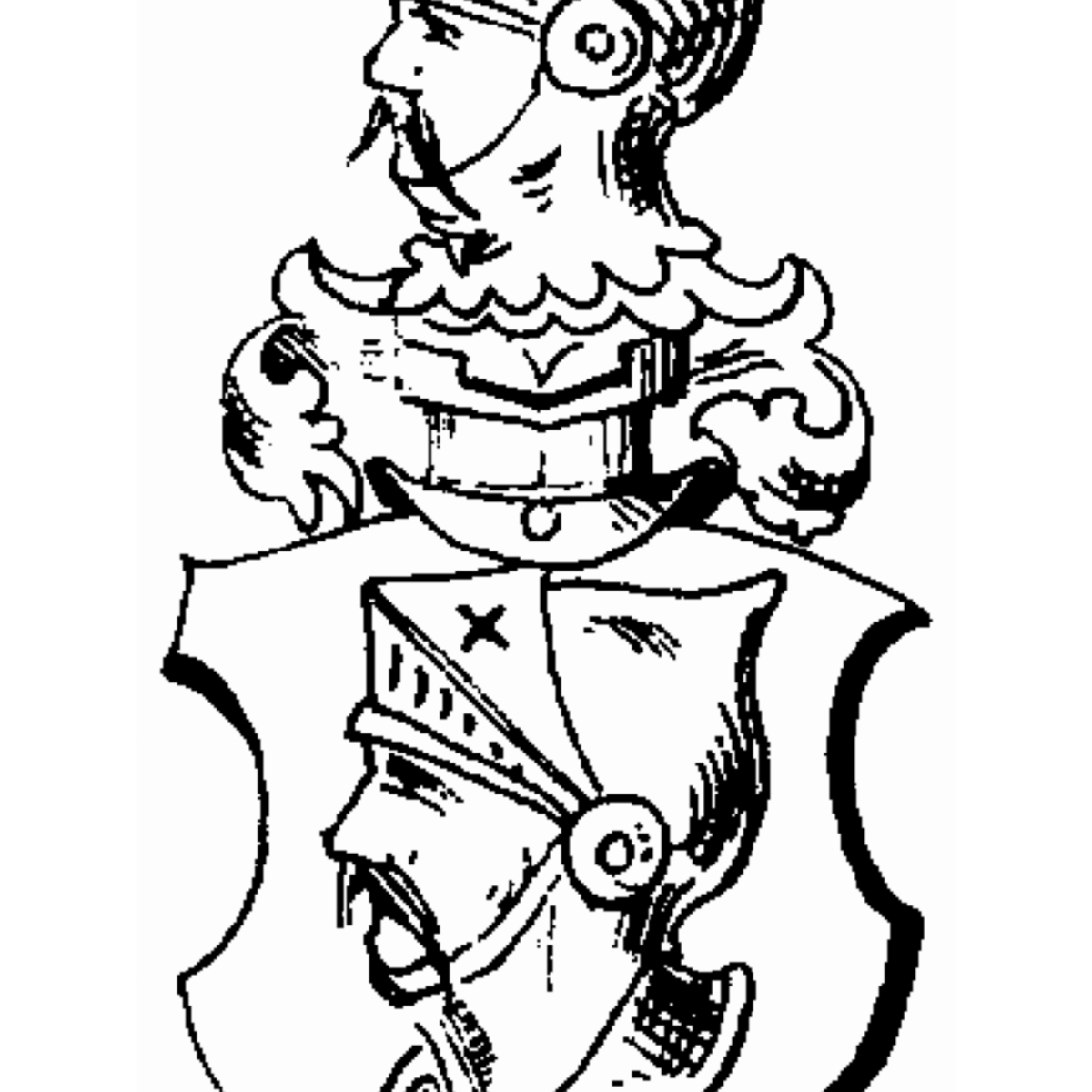 Coat of arms of family De Vokkenhusen